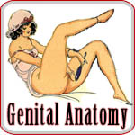 Genital Anatomy - Think you really know?