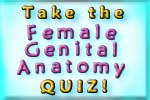 Female Genital Anatomy Quiz